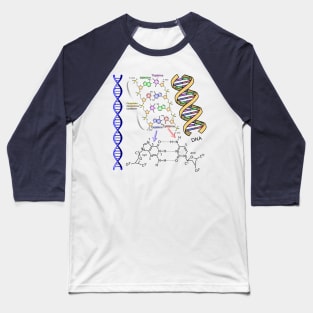 DNA Double Helix Chemical Formula Molecules Science Art Light Background Baseball T-Shirt